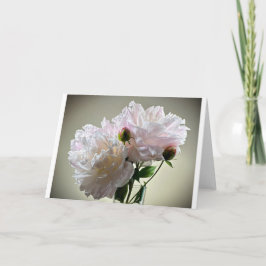Peony, tarjeta