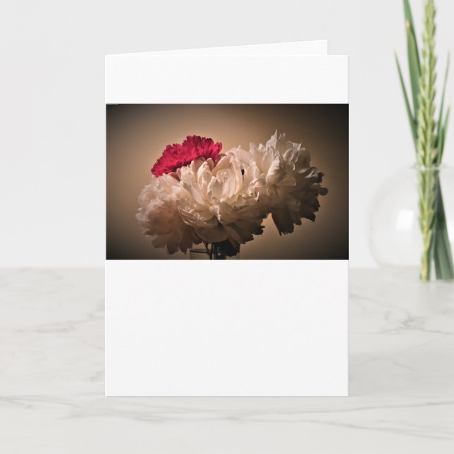 Peony, tarjeta (Anverso)