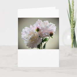 Peony, tarjeta