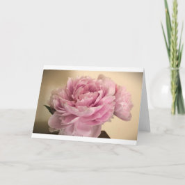 Peony, tarjeta