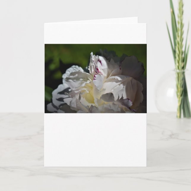 Peony, tarjeta (Anverso)