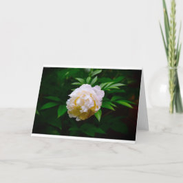 Peony, tarjeta