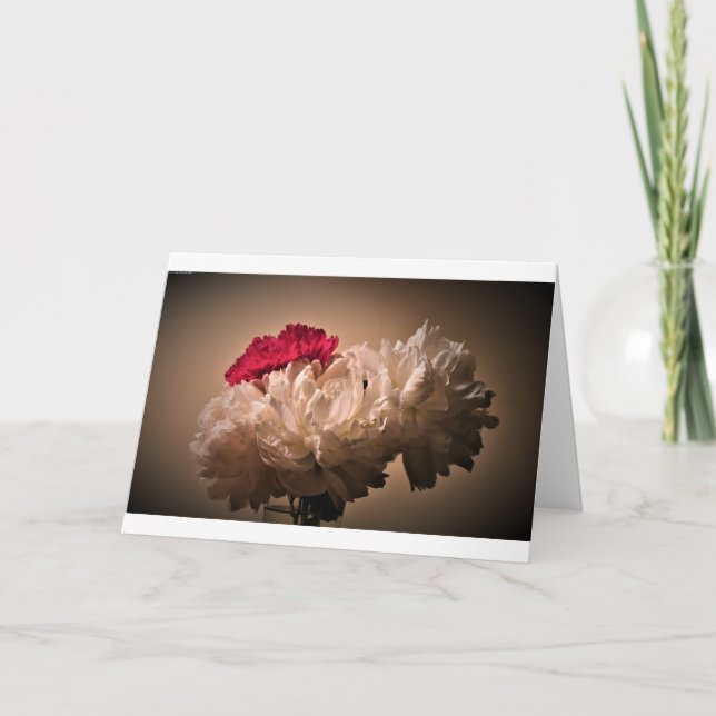 Peony, tarjeta (Anverso)