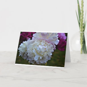 Peony, tarjeta