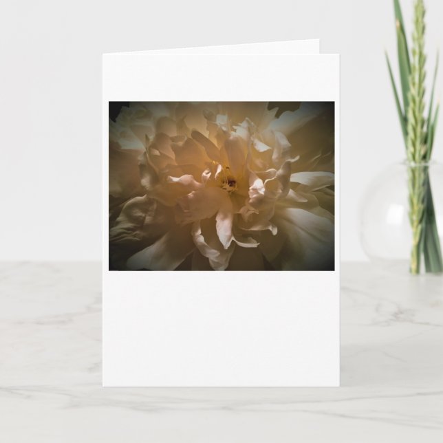 Peony, tarjeta (Anverso)