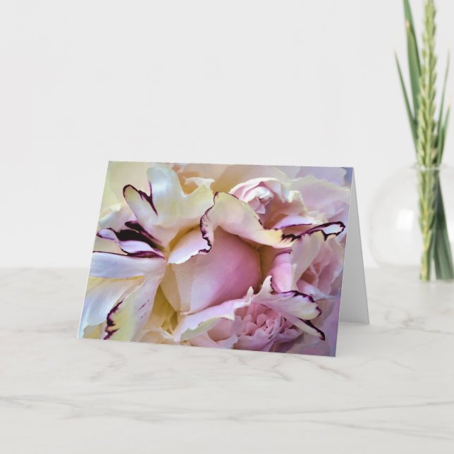 Peony, tarjeta (Anverso)