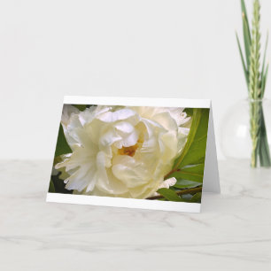 Peony, tarjeta