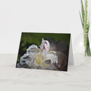 Peony, tarjeta
