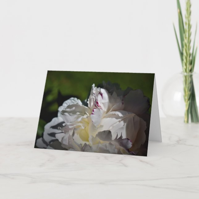 Peony, tarjeta (Anverso)