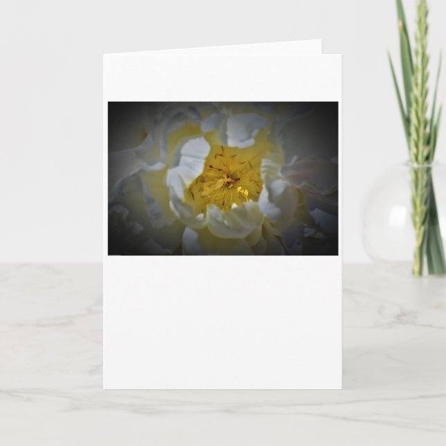 Peony, tarjeta (Anverso)