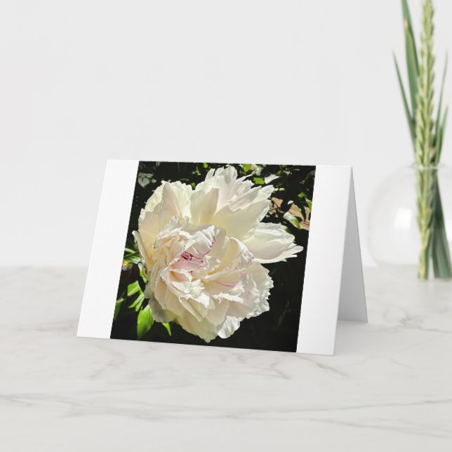Peony, tarjeta (Anverso)