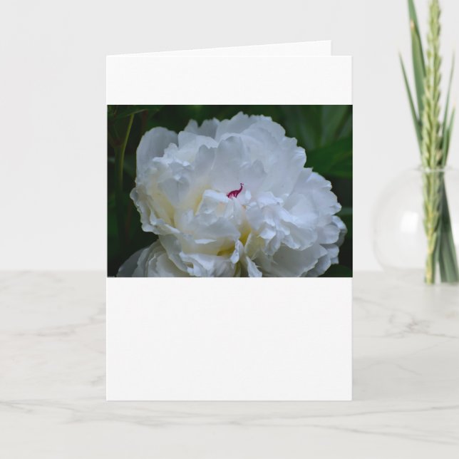 Peony, tarjeta (Anverso)