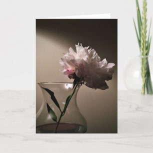 Peony, tarjeta