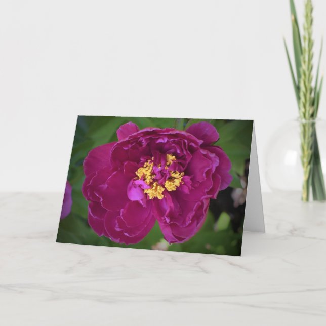 Peony, tarjeta (Anverso)