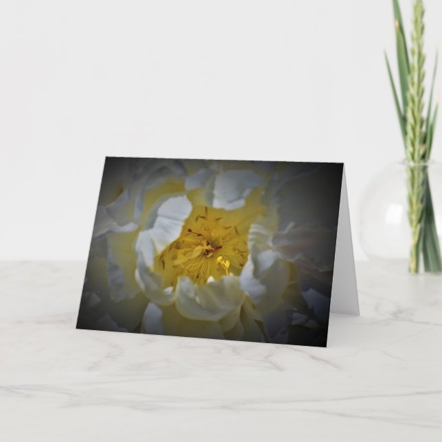Peony, tarjeta (Anverso)