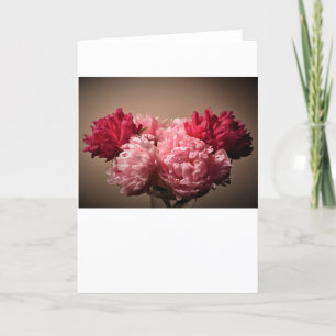 Peony, tarjeta