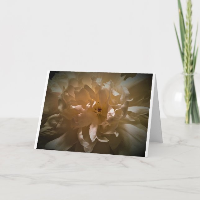 Peony, tarjeta (Anverso)