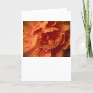 Peony, tarjeta
