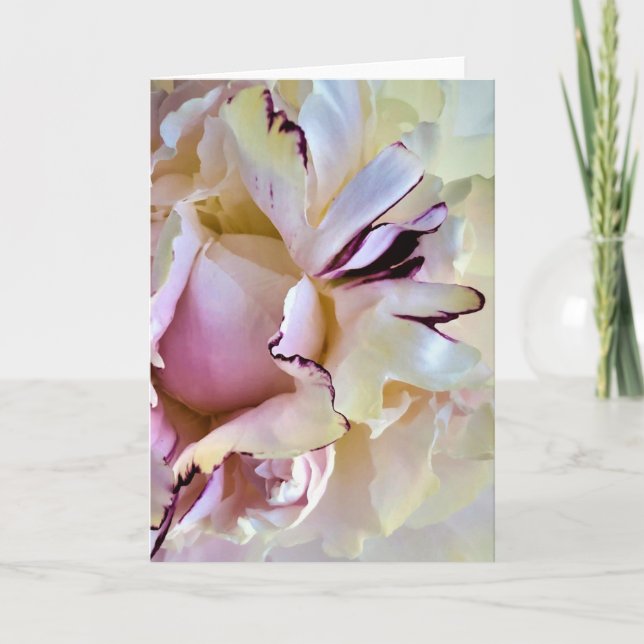 Peony, tarjeta (Anverso)