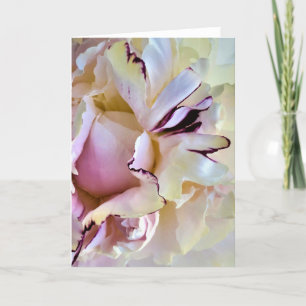 Peony, tarjeta