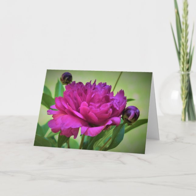 Peony, tarjeta (Anverso)