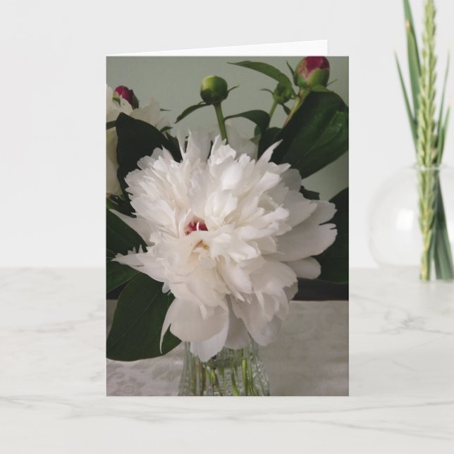 Peony, tarjeta (Anverso)