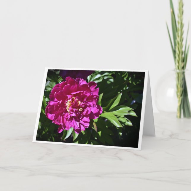 Peony, tarjeta (Anverso)