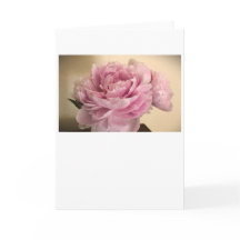 Peony, tarjeta