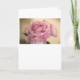 Peony, tarjeta