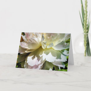 Peony, tarjeta