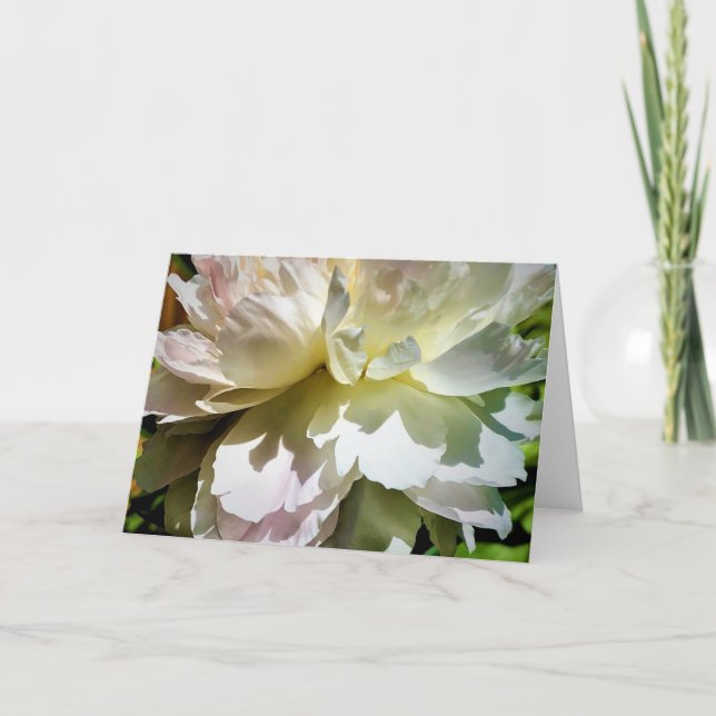 Peony, tarjeta (Anverso)