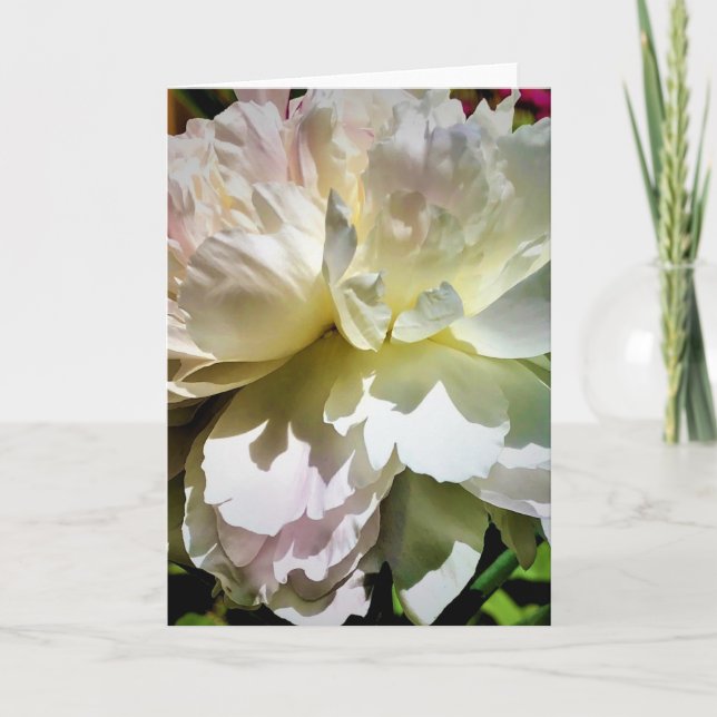 Peony, tarjeta (Anverso)