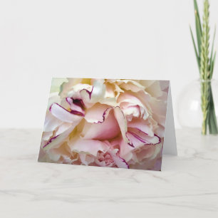 Peony, tarjeta