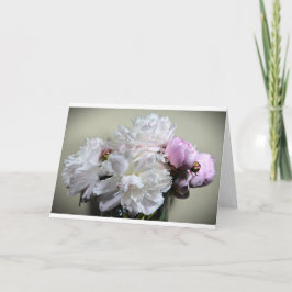 Peony, tarjeta