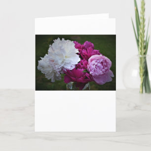 Peony, tarjeta