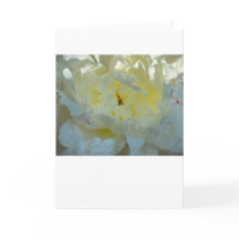 Peony, tarjeta