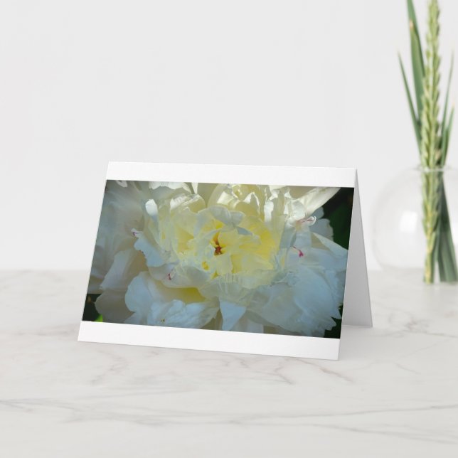 Peony, tarjeta (Anverso)