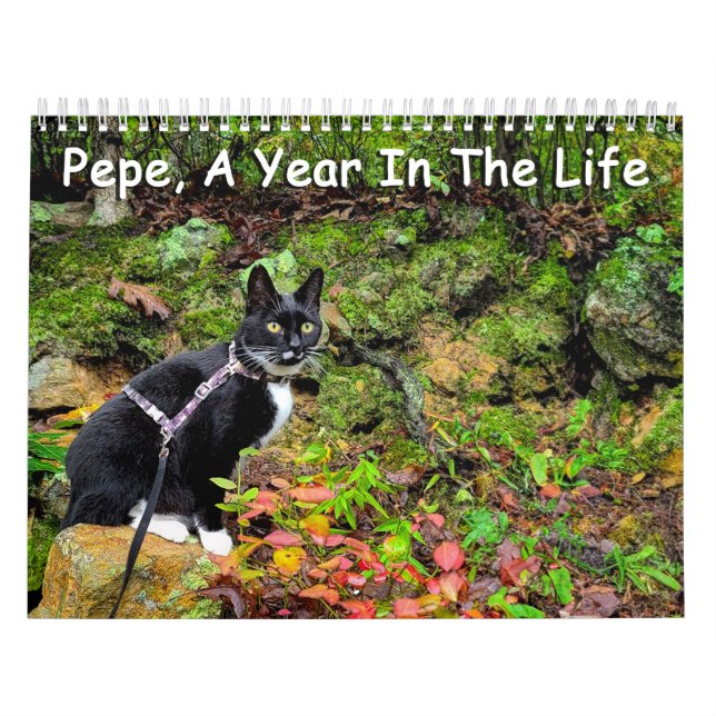 Pepe, Un Año En El Calendario De Vida (Tapa)
