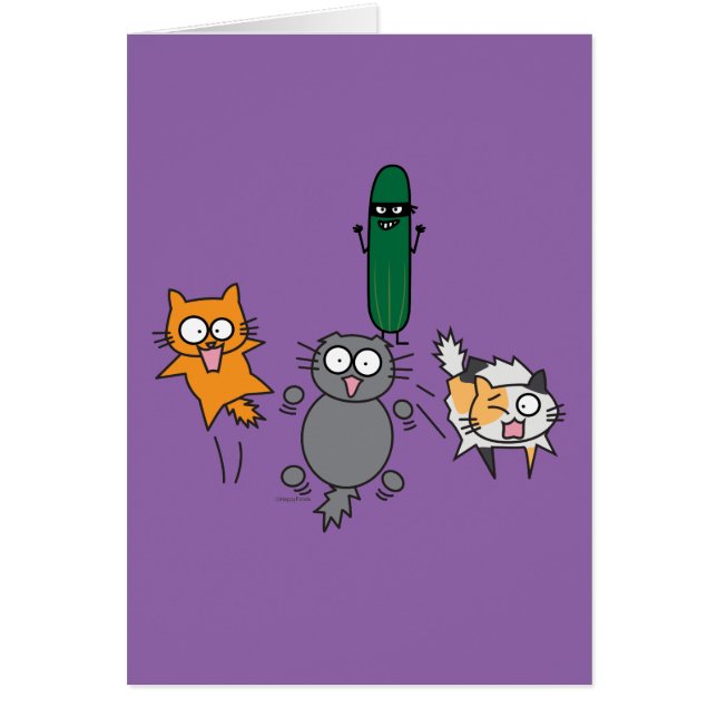 Pepino que asusta los gatos - gato contra susto (Frente)