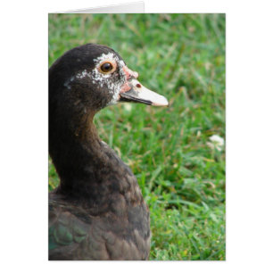 Pepper, la moscovita