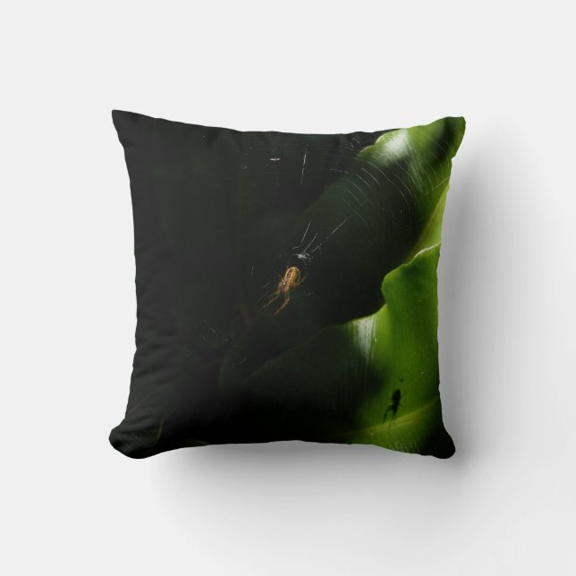 Pequeña almohada de araña (Anverso)