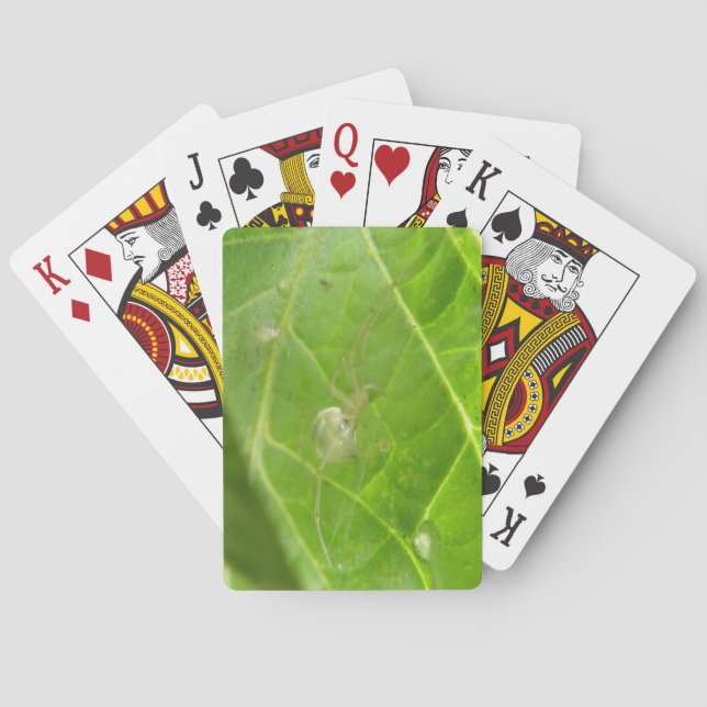 Pequeña araña jugando cartas (Reverso)