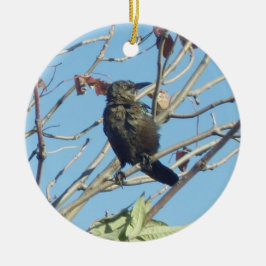 Pequeña Birdie en un adorno conmemorativo de un ár