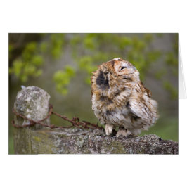 Pequeña bola de flores