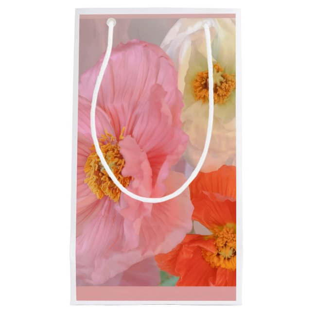 Pequeña Bolsa de regalo (Anverso)