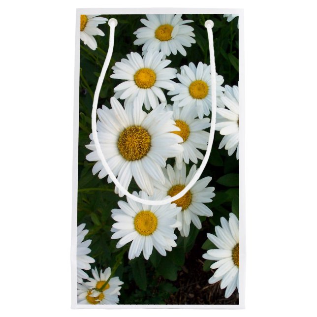 Pequeña Bolsa de regalo Daisy Delight (Anverso)