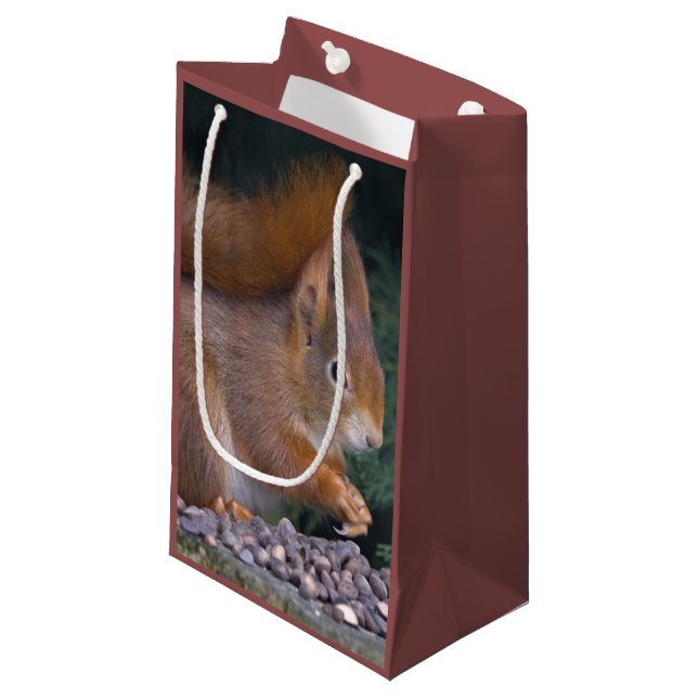 Pequeña Bolsa de regalo de brunch de frutos secos (Angulo Anverso)