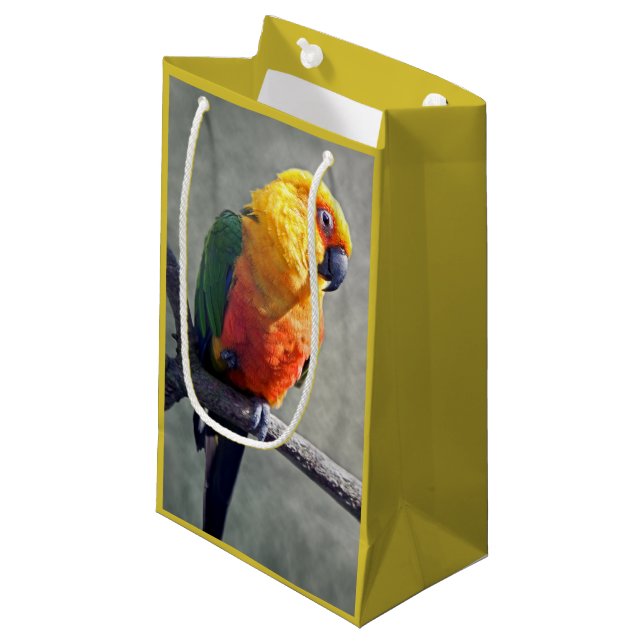 Pequeña Bolsa de regalo de Conura Jenday (Angulo Anverso)