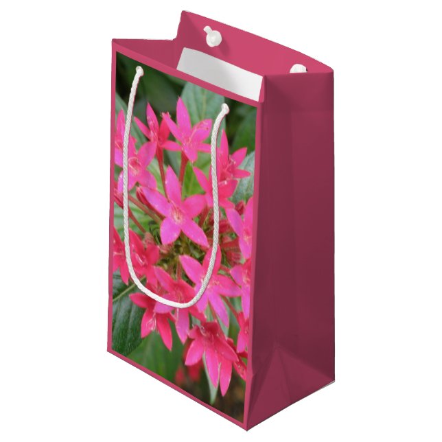 Pequeña Bolsa de regalo de flores tropicales rosa brillant (Angulo Anverso)