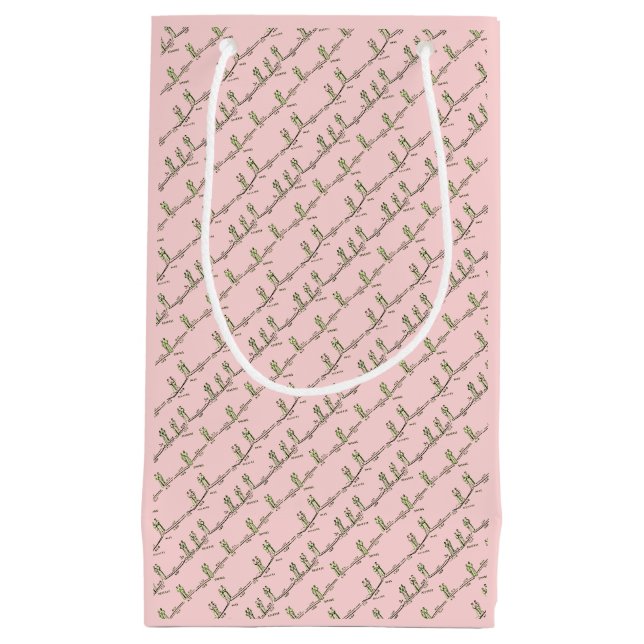 Pequeña Bolsa de regalo de lecciones de baile (Rosa) (Anverso)